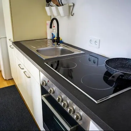 Daire Gruenblick Penthouse